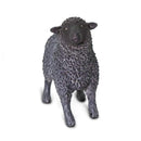 Black Sheep (Limited Quantity)