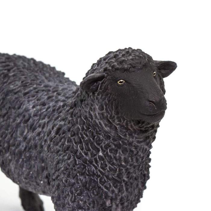 太郎　sub d2.0 black sheep Black Sheep (Limited Quantity)