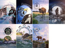 French Seven Teachings Poster Set