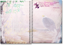 Journal (Eagle)