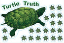 Deco Pack (Turtle)