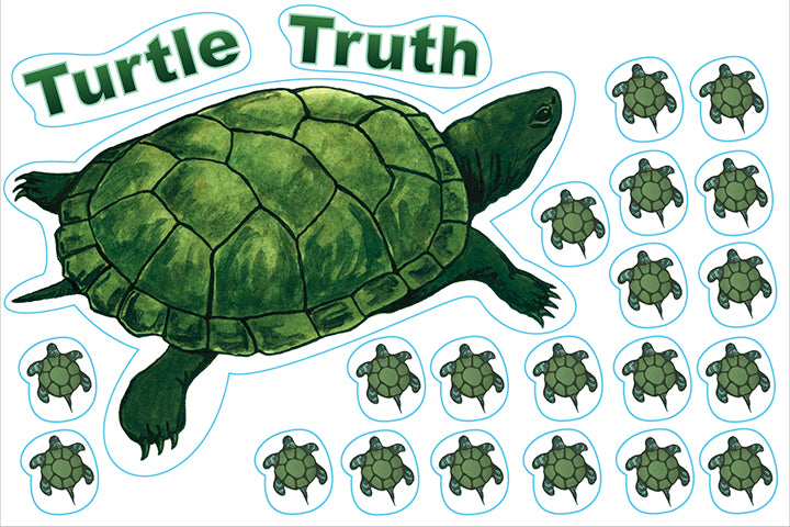 Deco Pack (Turtle)