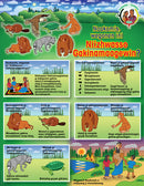 Grandmother and Grandfather Posters