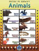 Native Ojibwe Posters