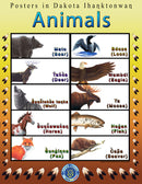 Animals