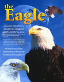 native teaching posters