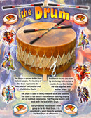 native teaching posters