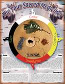 native teaching posters