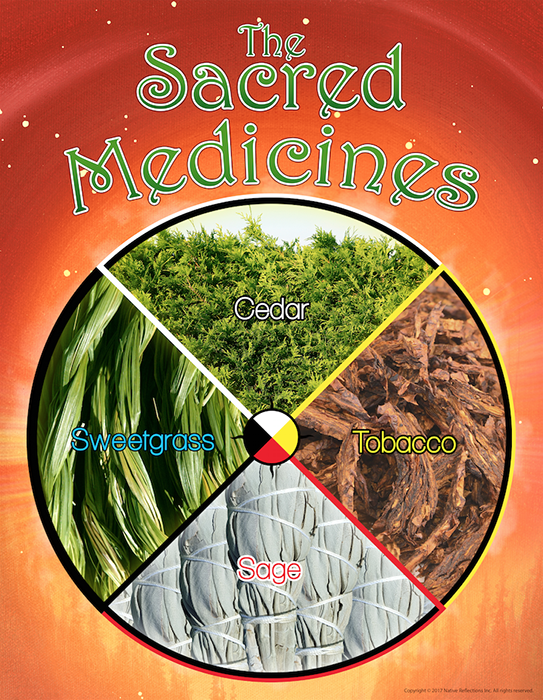 The Sacred Medicines Poster