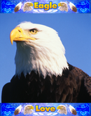 Positive Attitude Poster