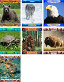 Positive Attitude Poster Set 2