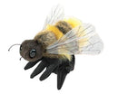 Hand Puppet - Honey Bee