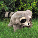 Hand Puppet - Baby Raccoon