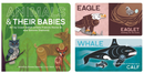 Animals & Their Babies (BB)