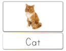 Word List (Pets)