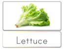 Word List (Vegetables)